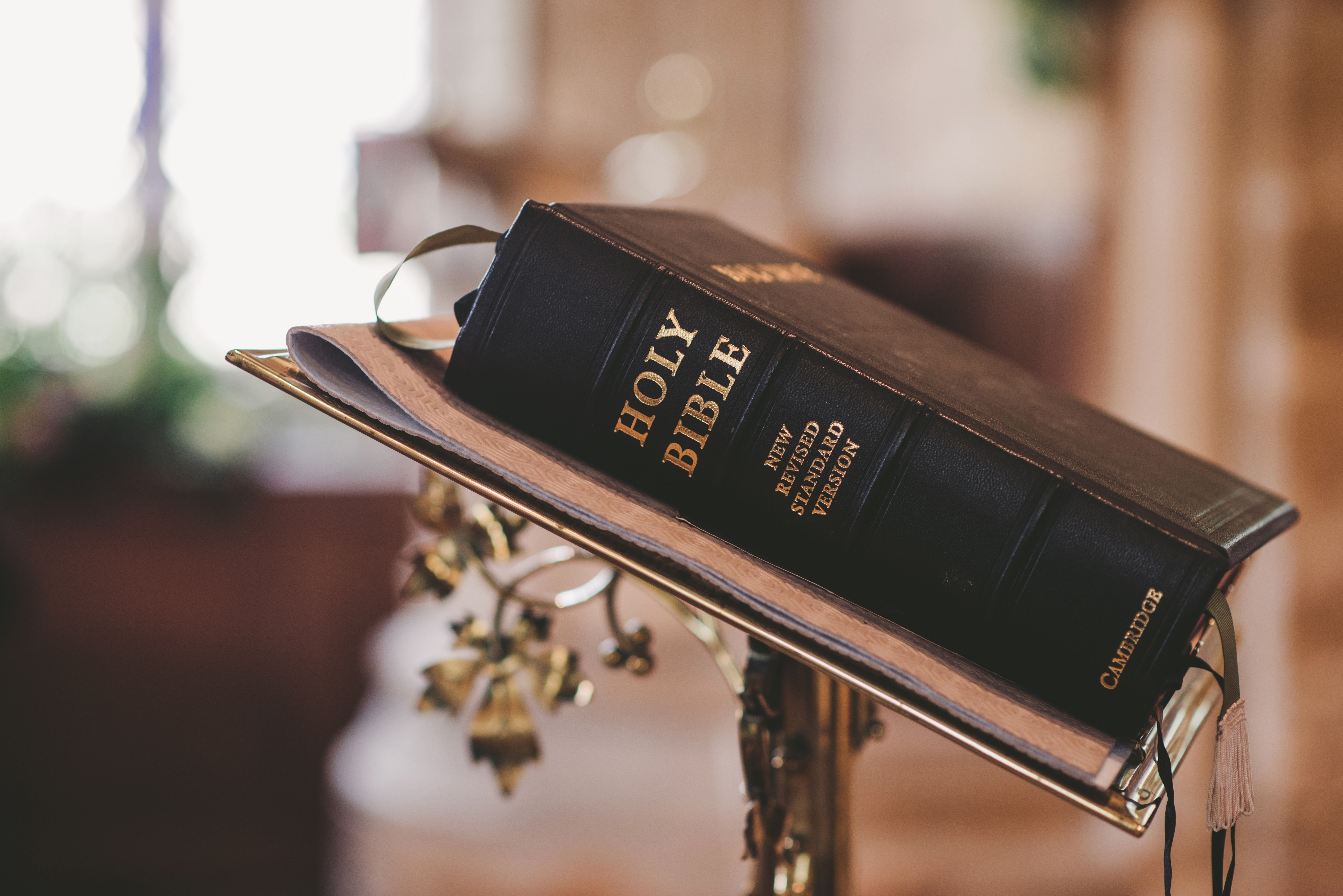 Por que Excomungar a FSSPX Enquanto Este Escândalo Abala a Igreja?