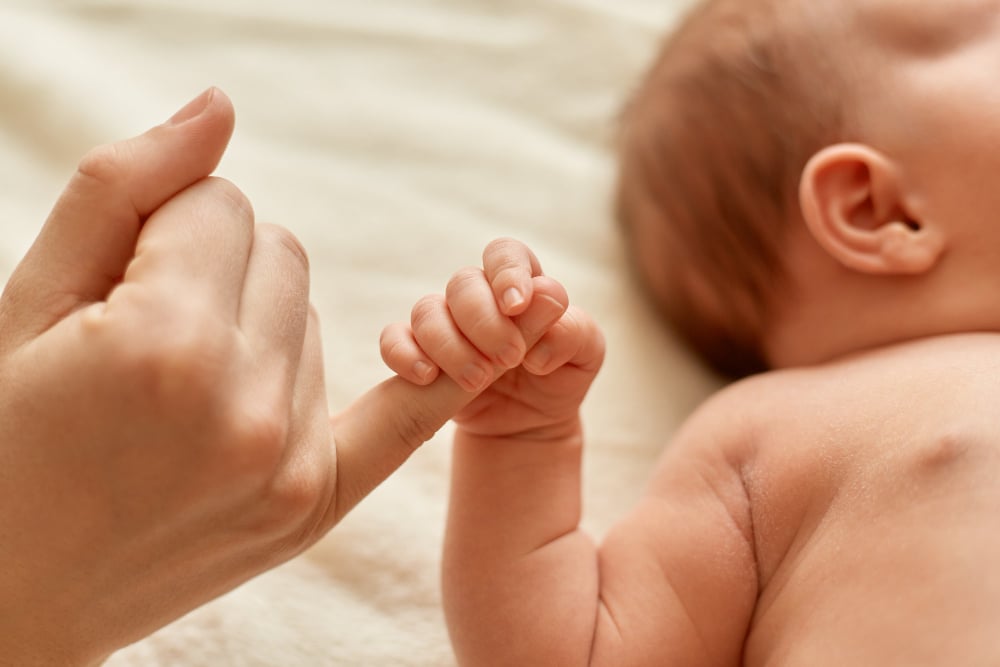 A vida é dom de Deus: CNBB renova chamado à defesa da dignidade humana desde a concepção