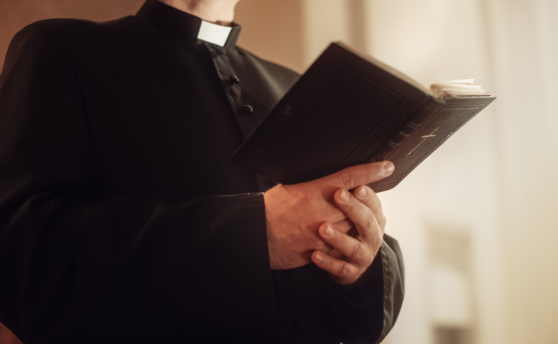 Bispo nomeado pelo "Papa" Leão XIV na Alemanha propõe abolir o celibato sacerdotal