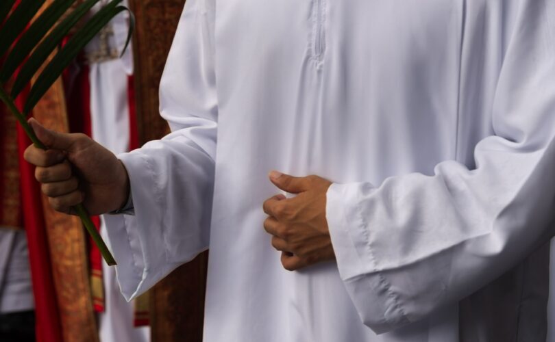 Vaticano confirma abuso de seminaristas por fundador do Instituto Verbo Encarnado, amigo de McCarric