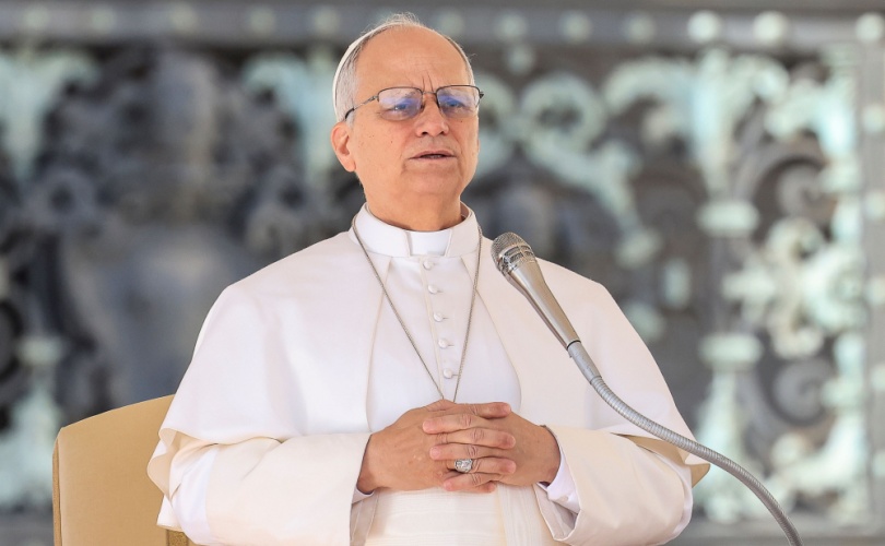 Progressistas da era Francisco dominam cúpula de Amoris Laetitia do Papa Leão XIV