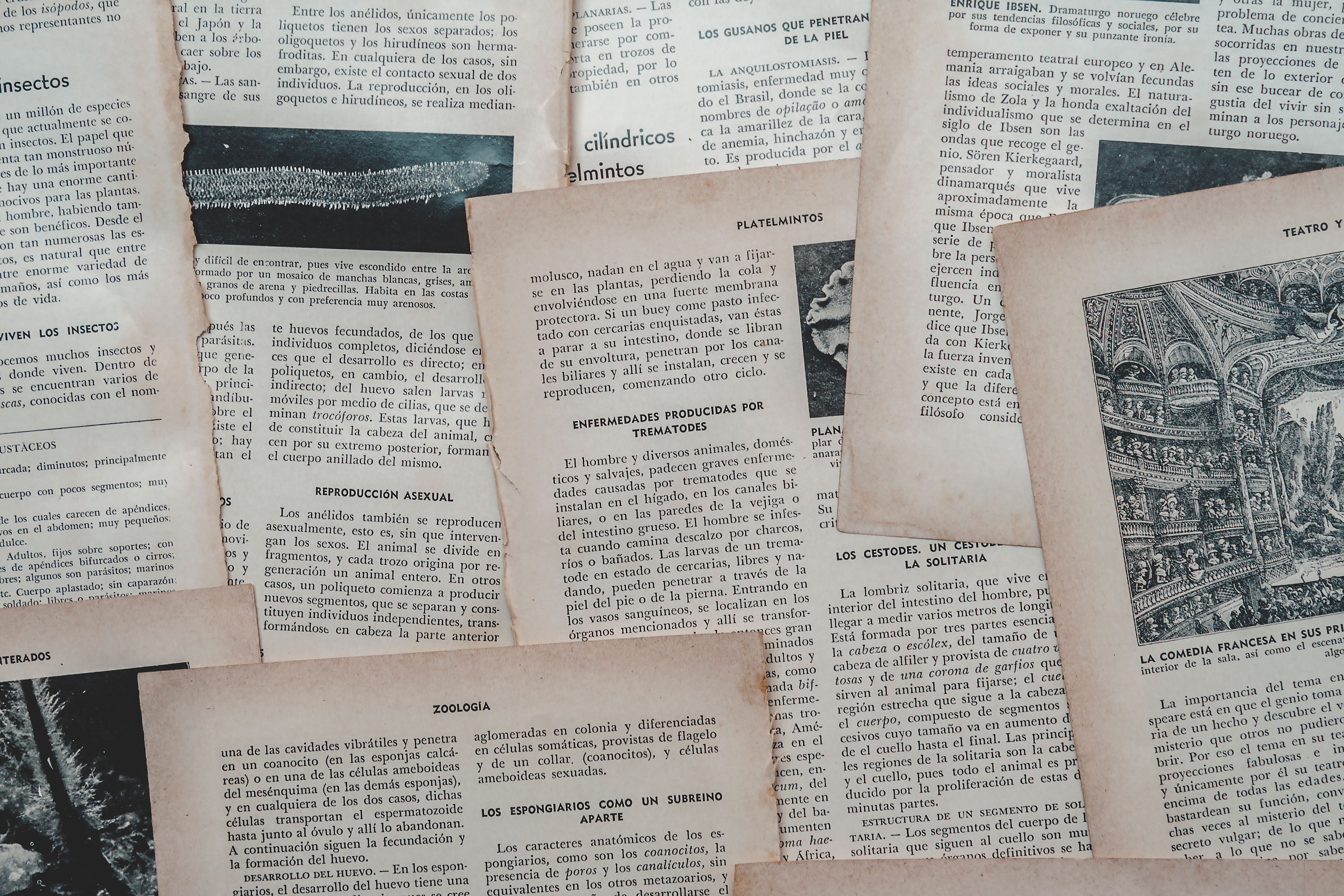 Fotos de um Missale Romanum impresso em Antuérpia no ano de 1616