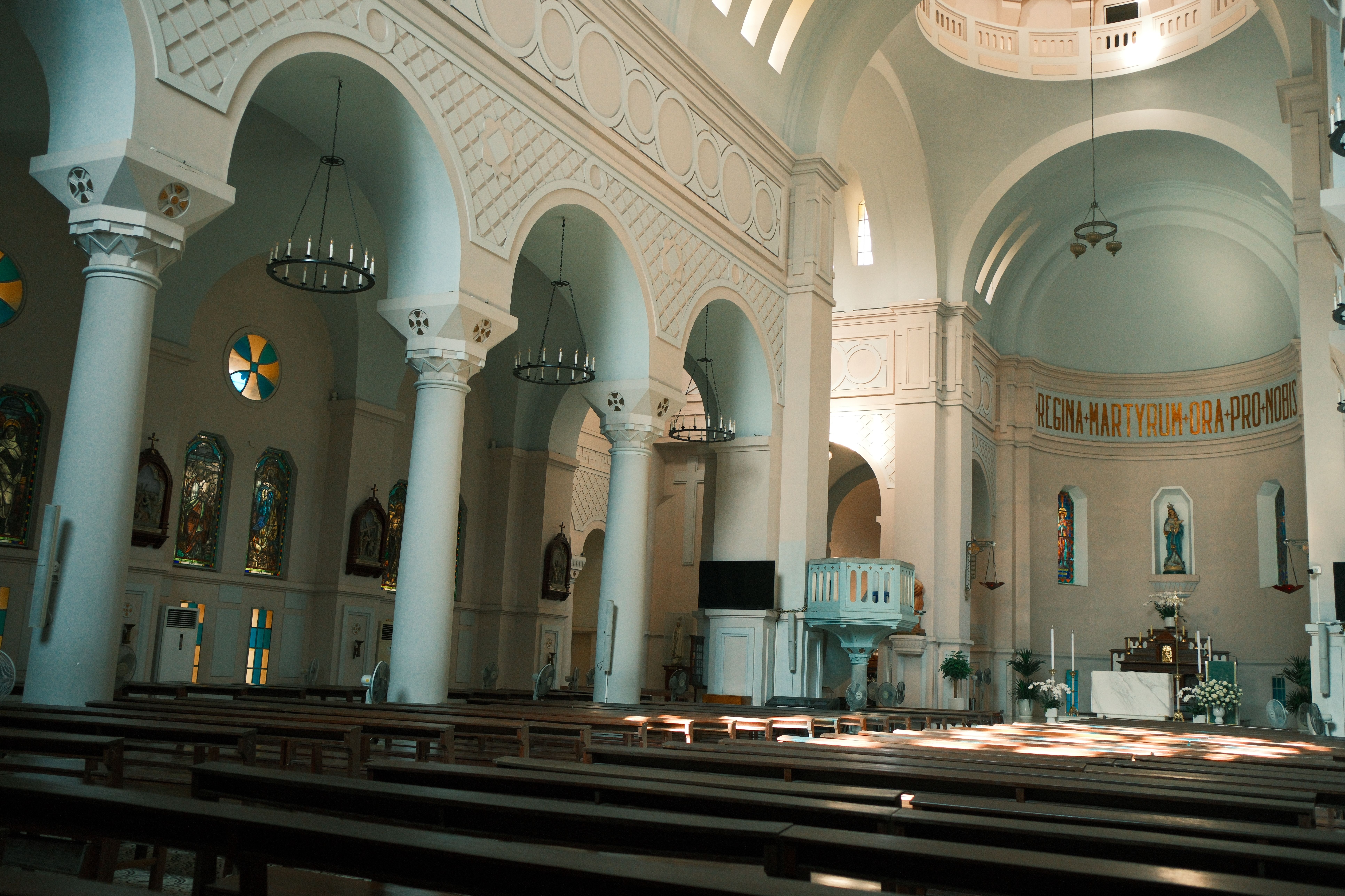A Tradição Católica frente ao dogma de Darwin