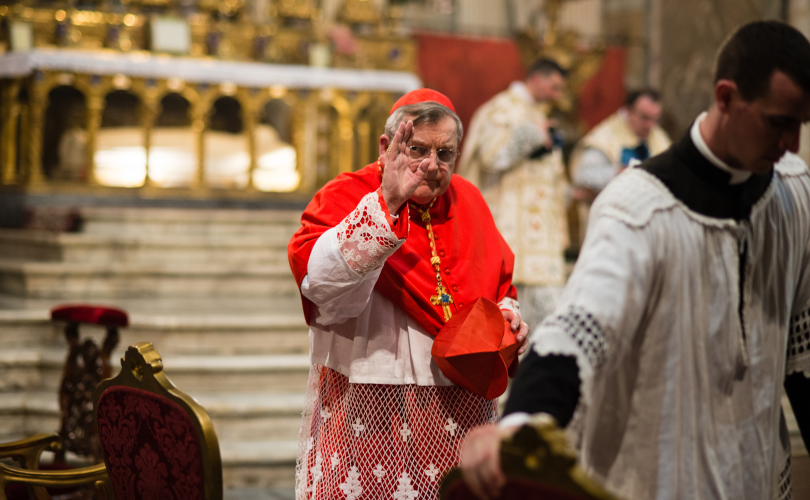 Cardeal Burke reafirma Nossa Senhora como Corredentora e contradiz o Papa Leão XIV