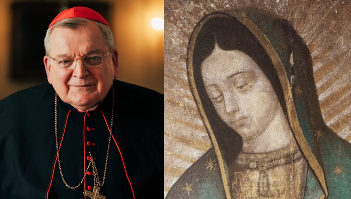 Cardeal Burke abre conferência mariana em Roma com discurso sobre Nossa Senhora de Guadalupe como Co